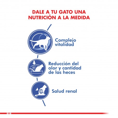 Royal Canin Cat Indoor 7+ (más de 7 años) - 7.5 kg - Imagen 3