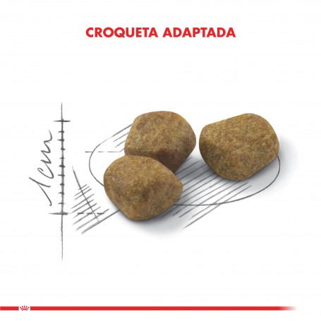 Royal Canin Cat Indoor 7+ (más de 7 años) - 7.5 kg - Imagen 4