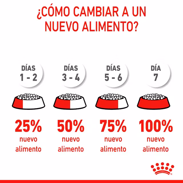 ROYAL CANIN KITTEN FILHOTES 4 KG. - Imagen 3