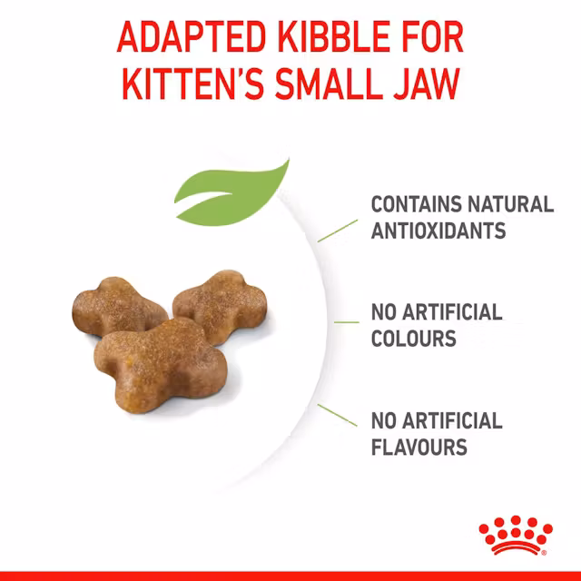 ROYAL CANIN KITTEN FILHOTES 4 KG. - Imagen 2