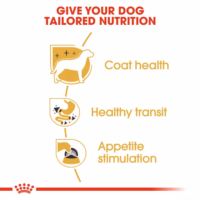 4 x POUCH CHIHUAHUA ADULT 85 GR. ALIMENTO HÚMEDO ROYAL CANIN - Imagen 3