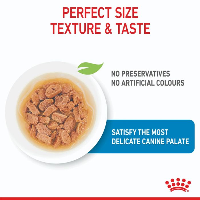 4 x POUCH MINI PUPPY 85 GR. ALIMENTO HÚMEDO ROYAL CANIN - Imagen 2